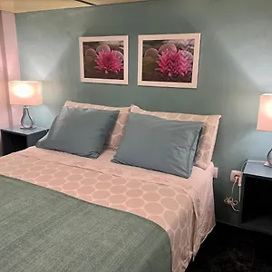 https://estudios-dalia.in-canary-islands.com